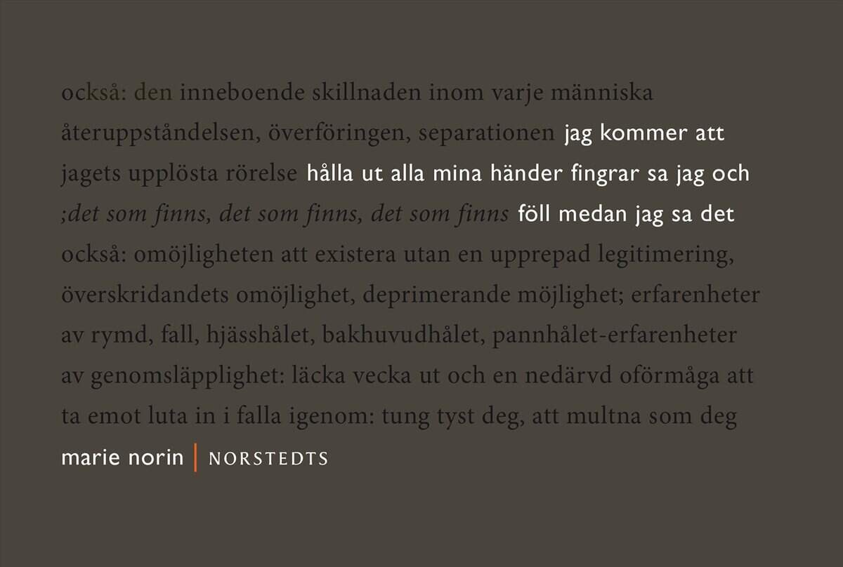 Marie Norin : jag kommer att hålla ut alla mina händer fingrar sa jag : och föll medan jag sa det