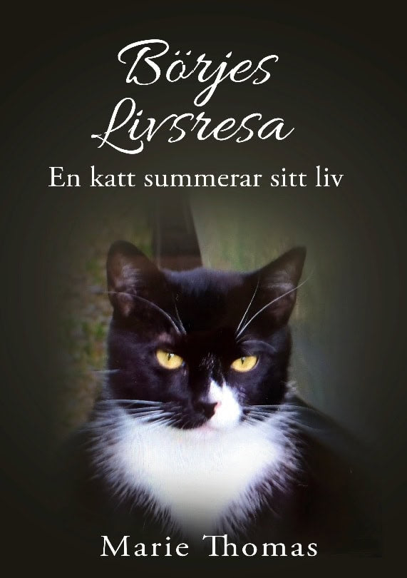 Marie Thomas : Börjes livsresa : en katt summerar sitt liv