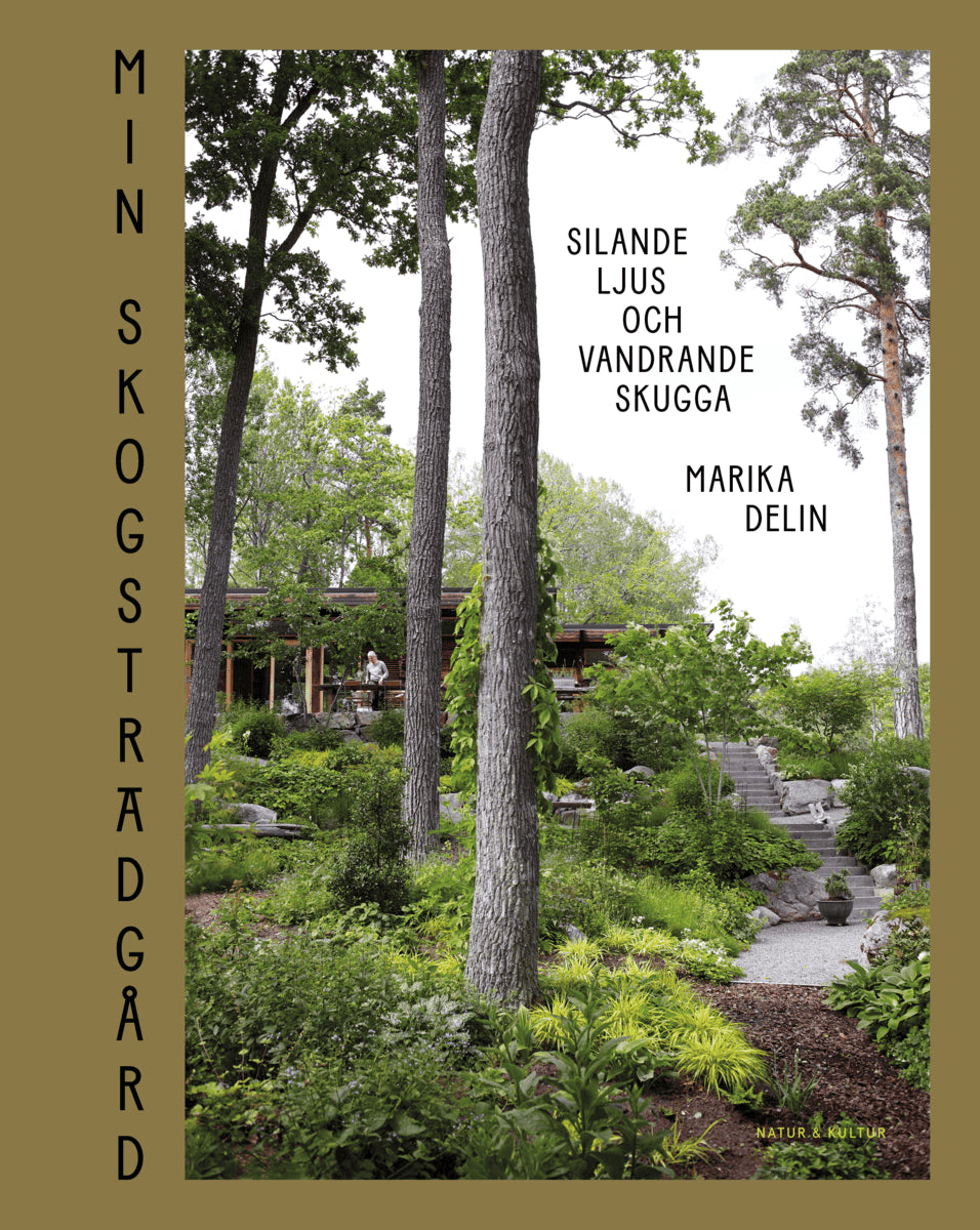 Marika Delin : Min skogsträdgård : silande ljus och vandrande skugga