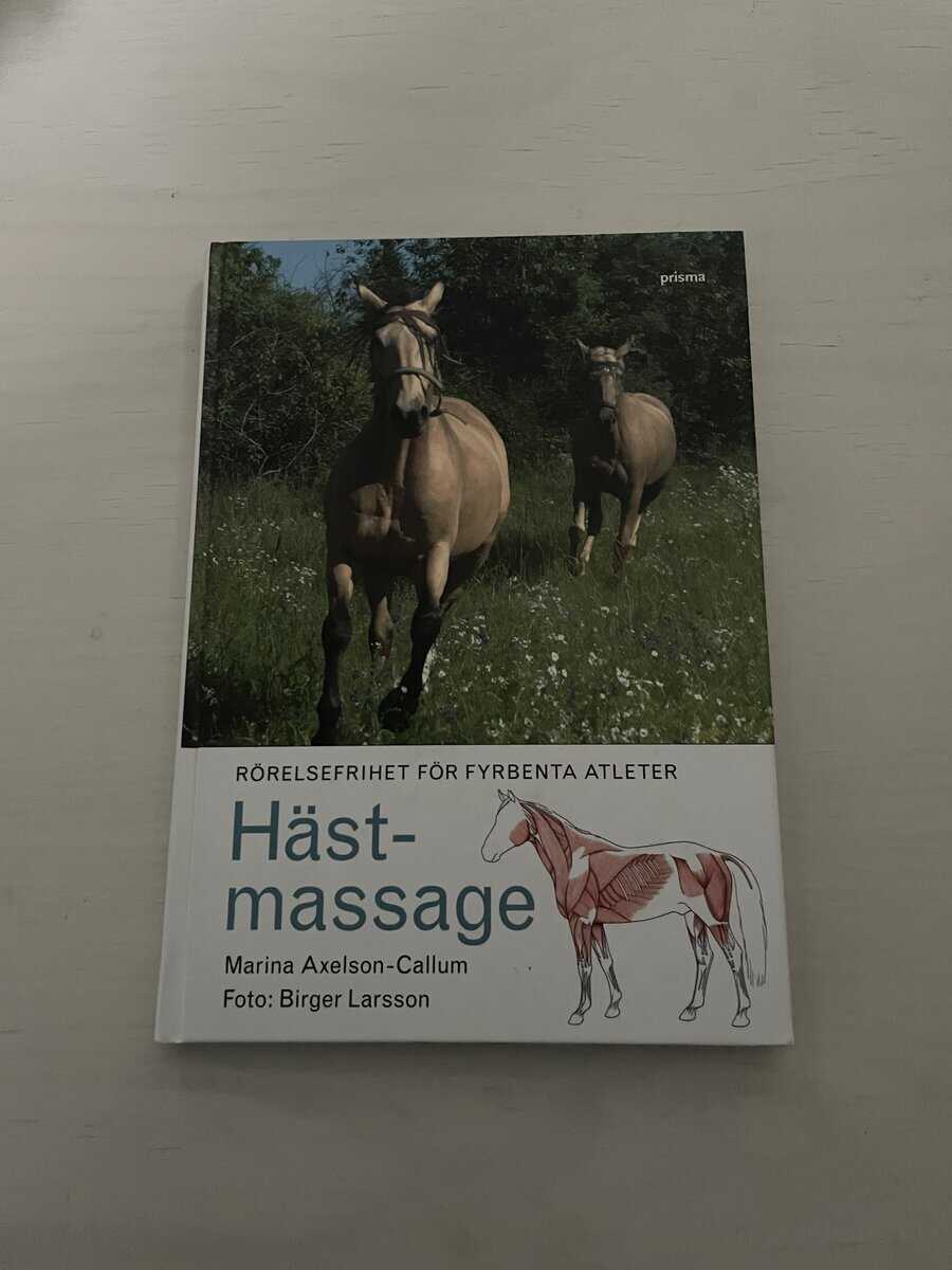 Marina Axelson-Callum : Hästmassage