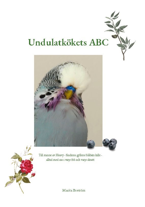 Marita Boström : Undulatkökets ABC