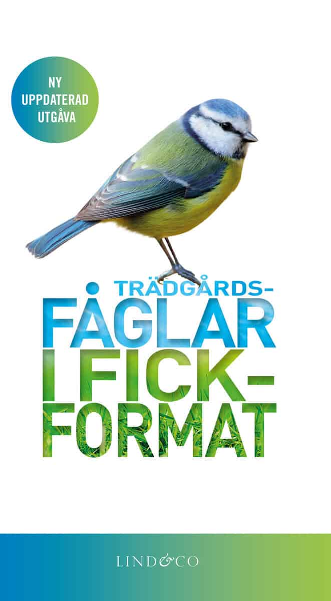 Mark Ward : Trädgårdsfåglar i fickformat