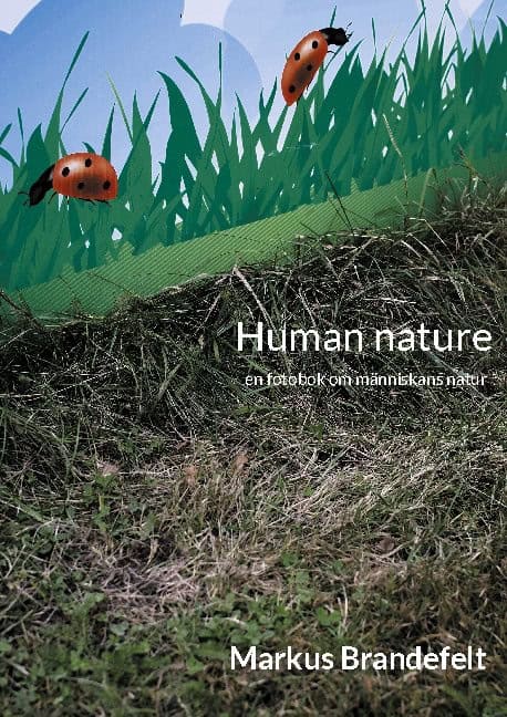 Markus Brandefelt : Human nature