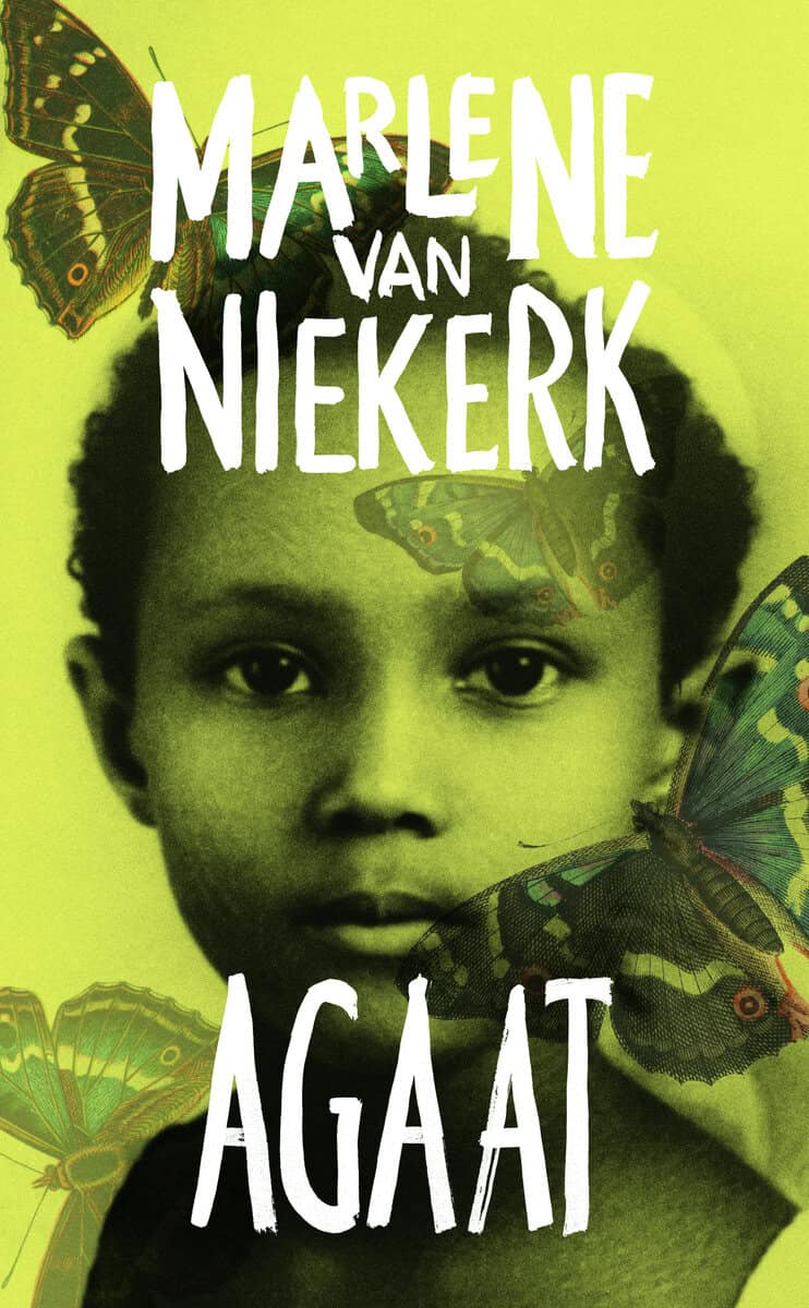 Marlene Van Niekerk : Agaat