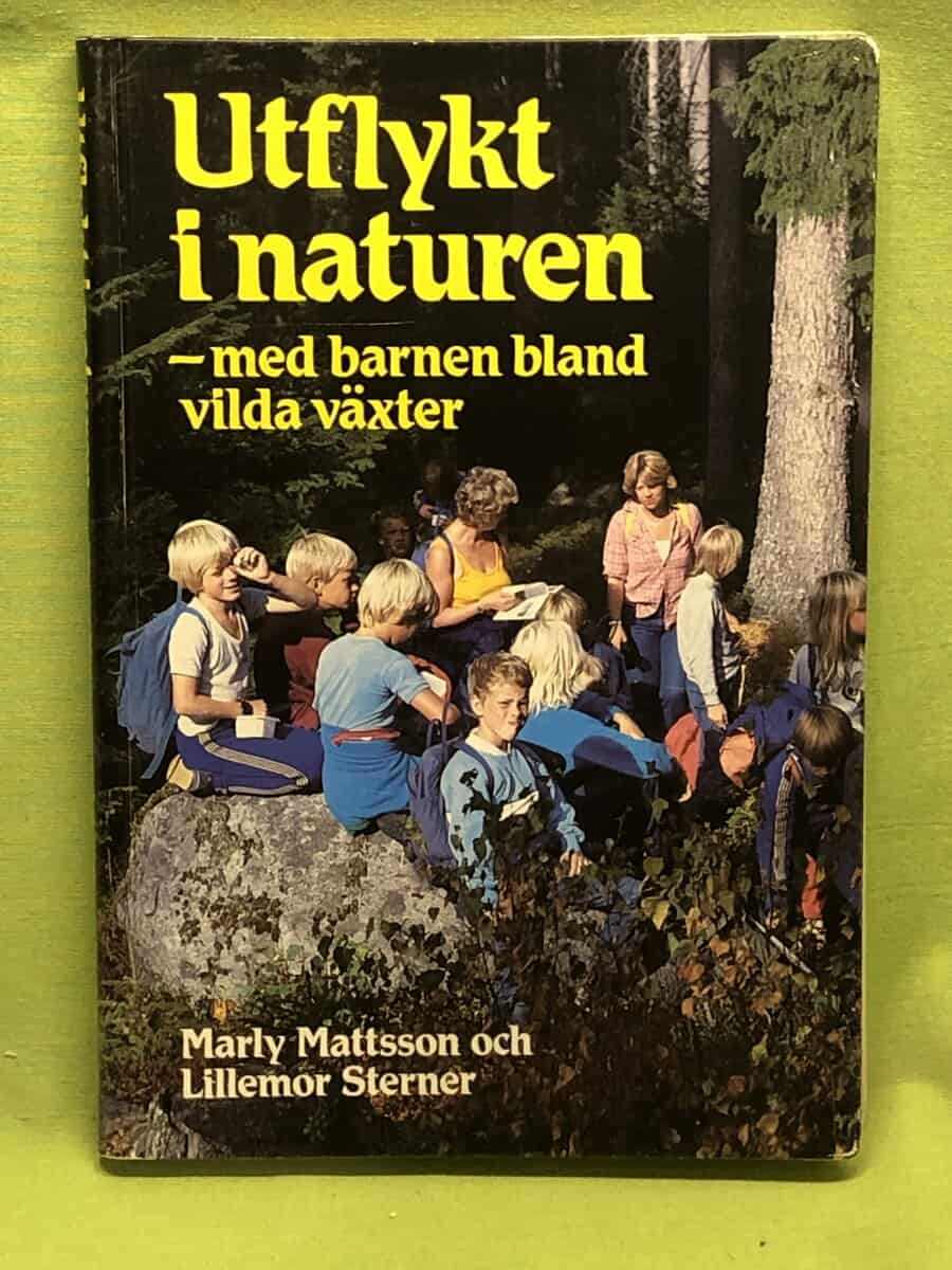 Marly Mattsson : Utflykt i naturen