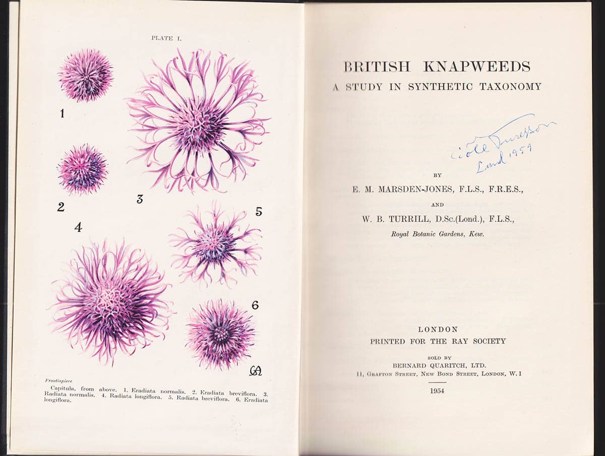 Marsden-Jones, Eric M. ; Turrill, William Bertram : British knapweeds. A study in synthetic taxonomy