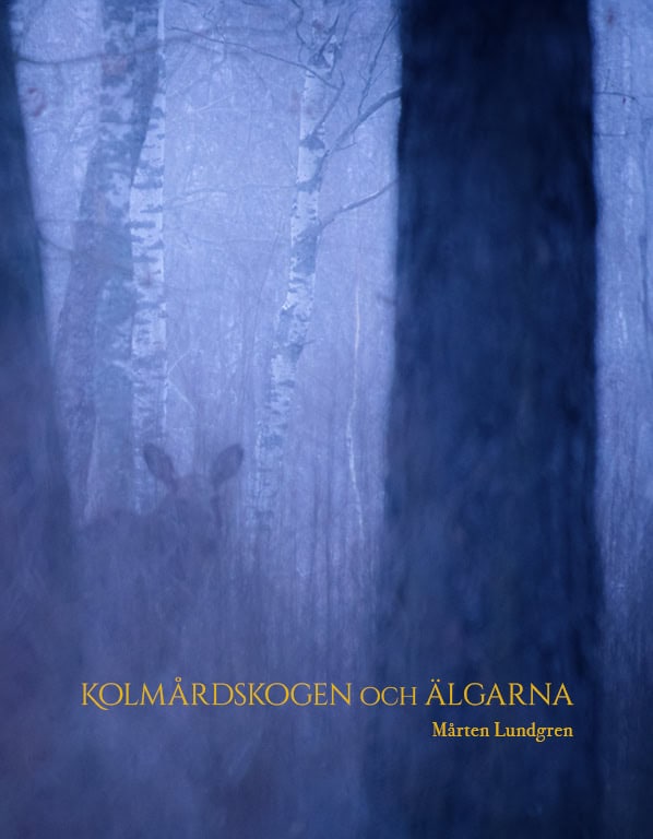Mårten Lundgren : Kolmårdsskogen och Älgarna