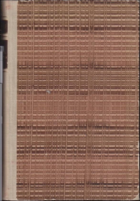 Martin Andersen Nexø : Den förlorade generationen