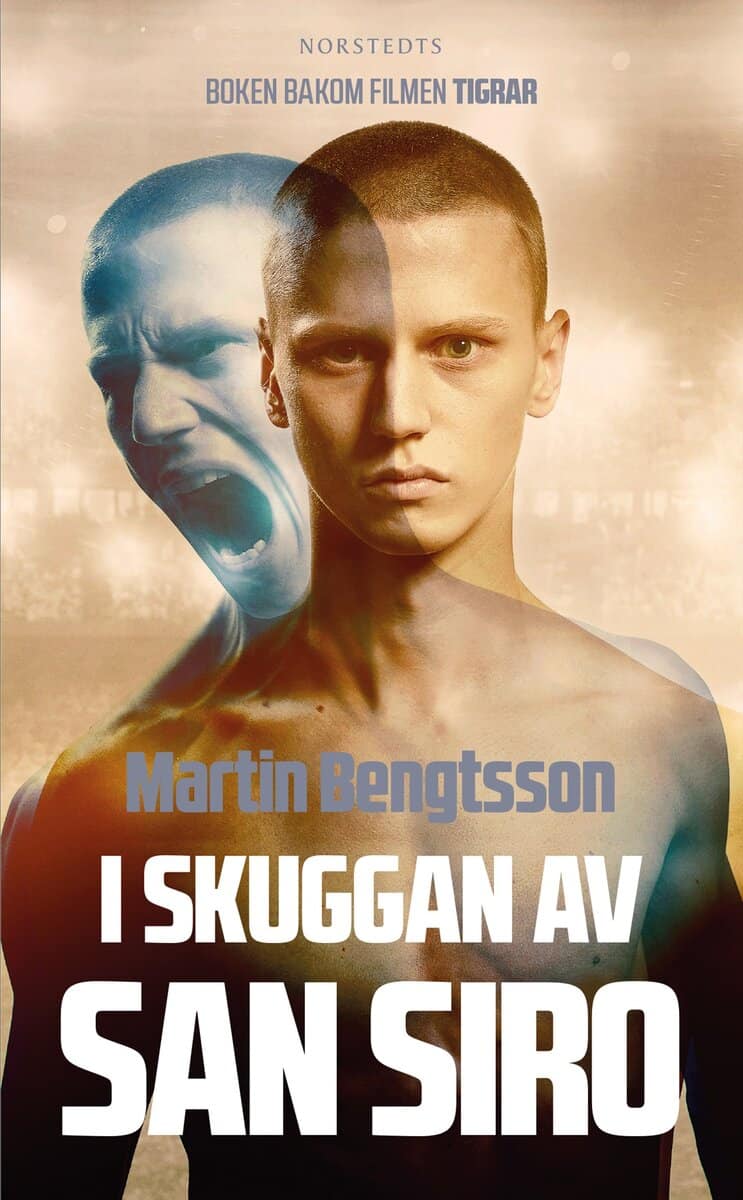 Martin Bengtsson : I skuggan av San Siro : från proffsdröm till mardröm