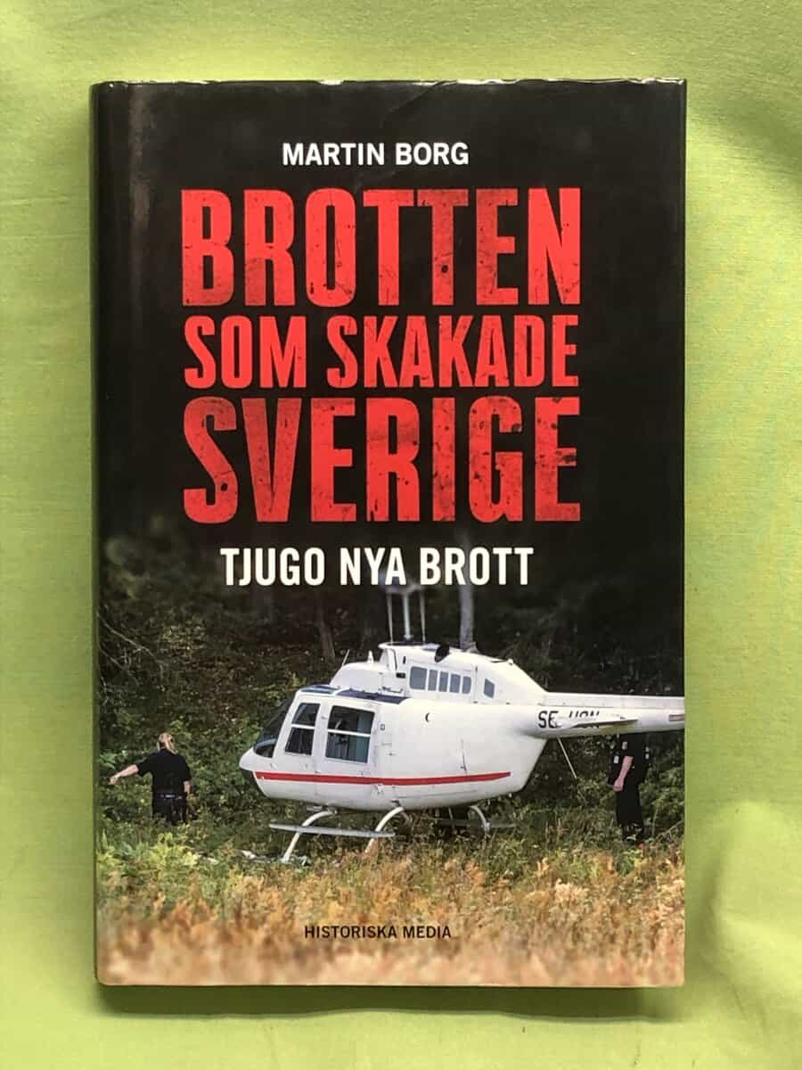 Martin Borg : Brotten som skakade Sverige