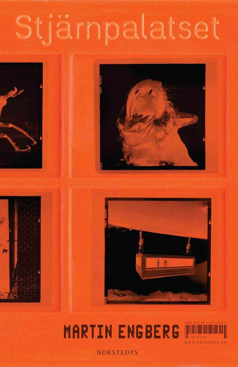 Martin Engberg : Stjärnpalatset
