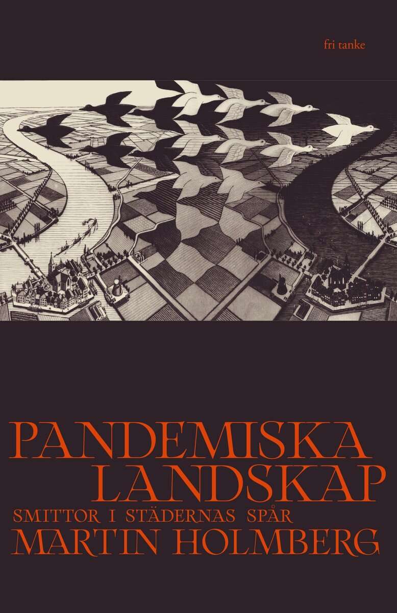 Martin Holmberg : Pandemiska landskap: Smittor i städernas spår