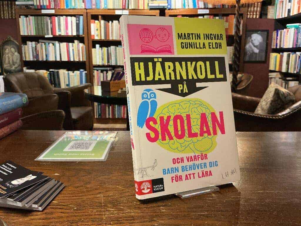 Martin Ingvar : Hjärnkoll på skolan