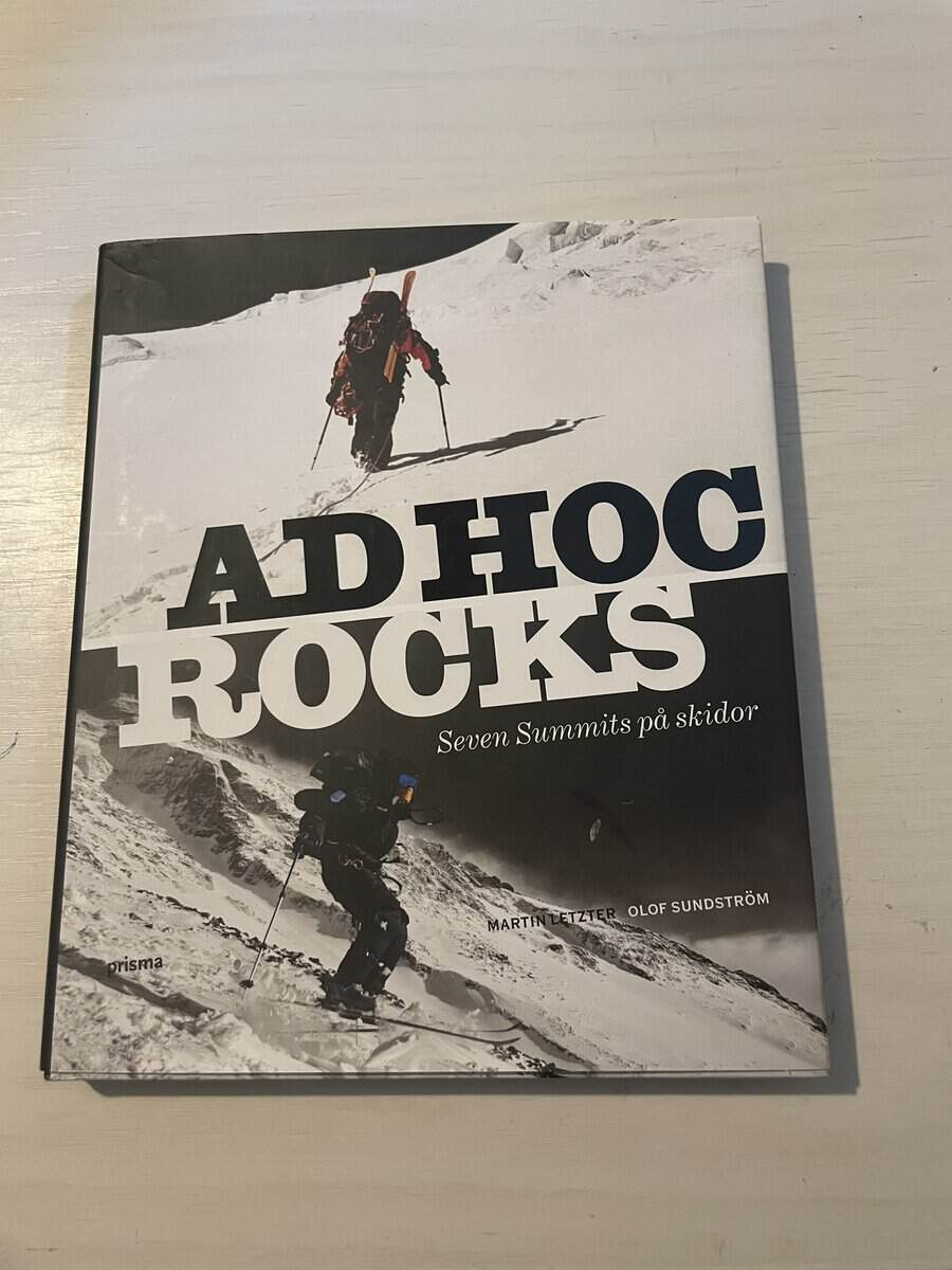 Martin Letzter : Ad hoc rocks