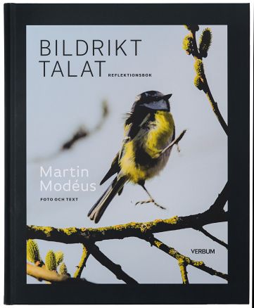 Martin Modéus : Bildrikt talat : reflektionsbok