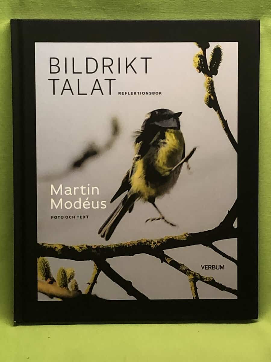 Martin Modéus : Bildrikt talat