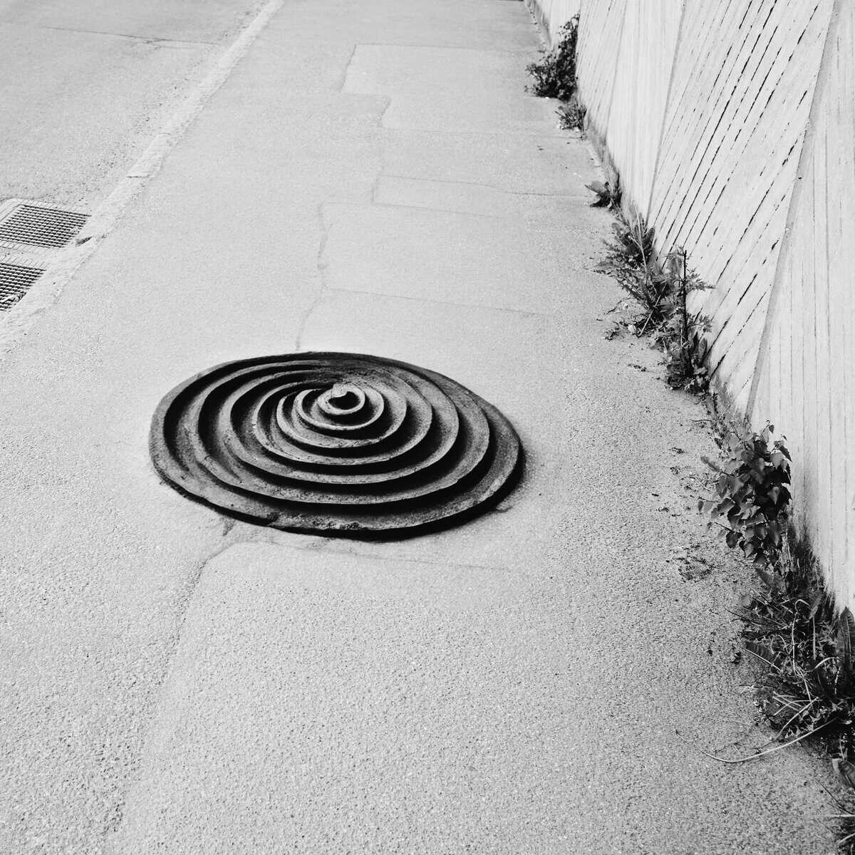 Martin Skoog : Non est