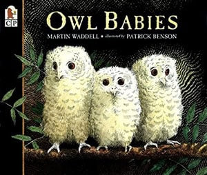 Martin Waddell : Owl Babies