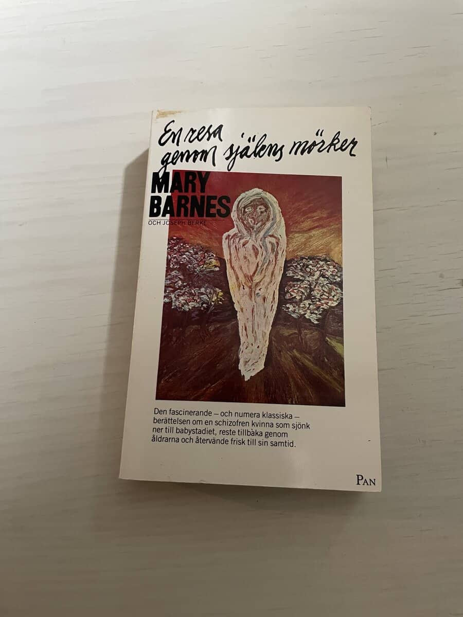 Mary Barnes : En resa genom själens mörker
