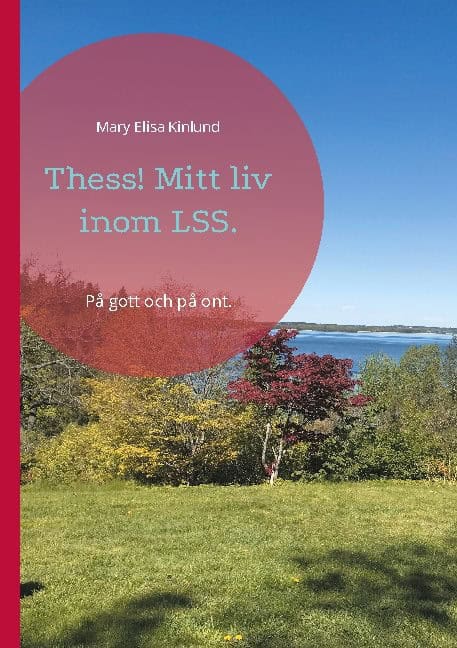 Mary Elisa Kinlund : Thess! : mitt liv inom LSS - på gott och på ont.