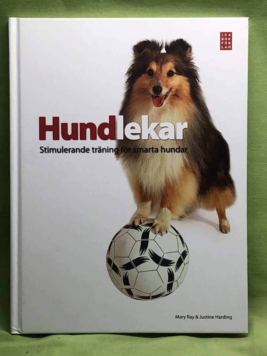 Ray, Mary, Harding, Justine : Hundlekar