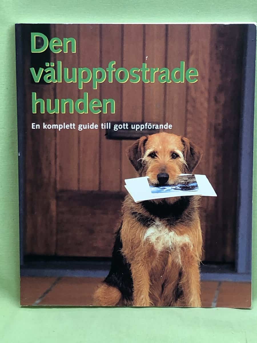 Mathew Hoffman : Den väluppfostrade hunden