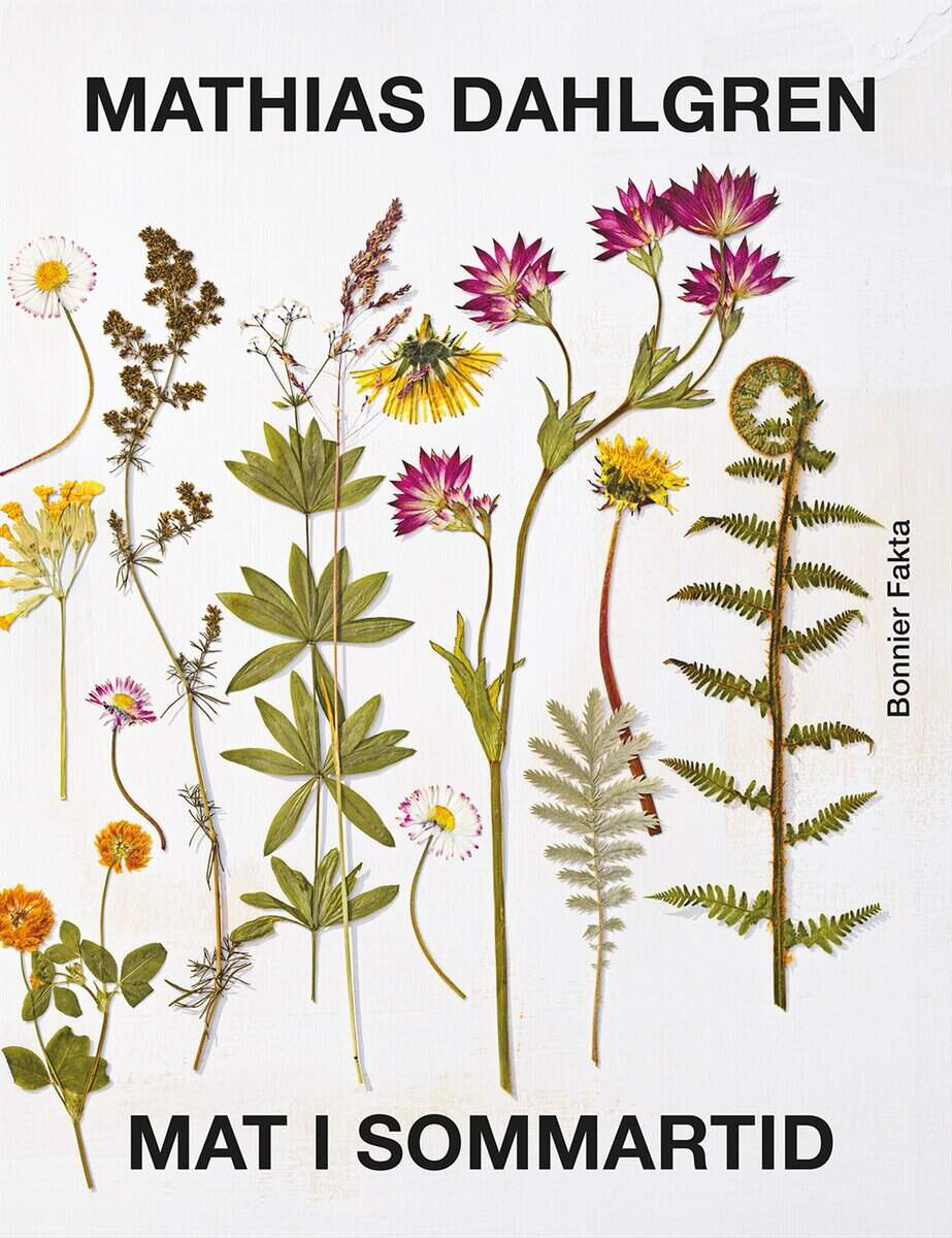 Mathias Dahlgren : Mat i sommartid