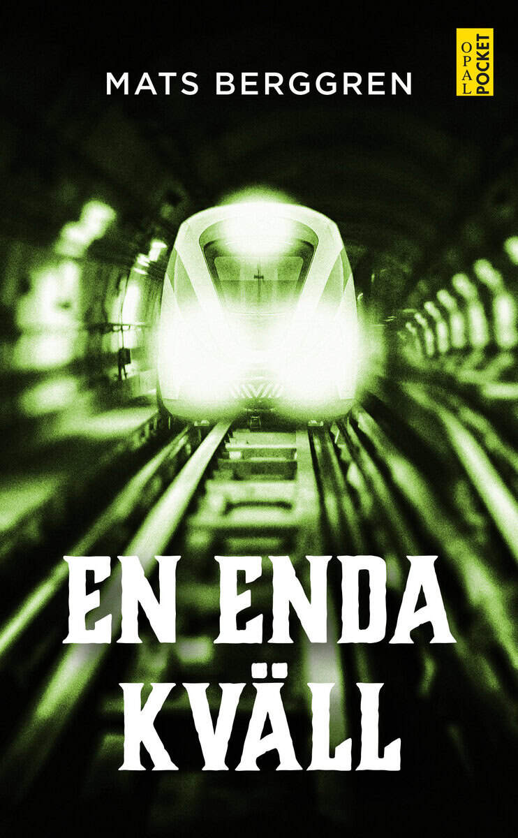 Mats Berggren : En enda kväll