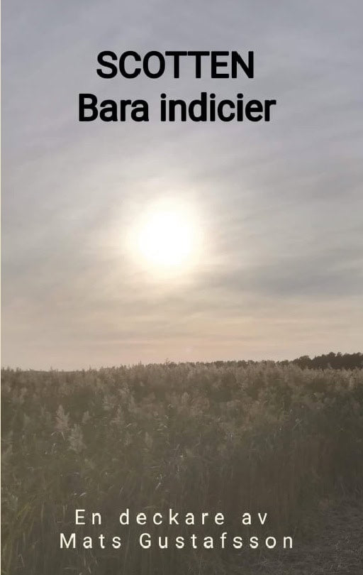 Mats Gustafsson : Bara indicier