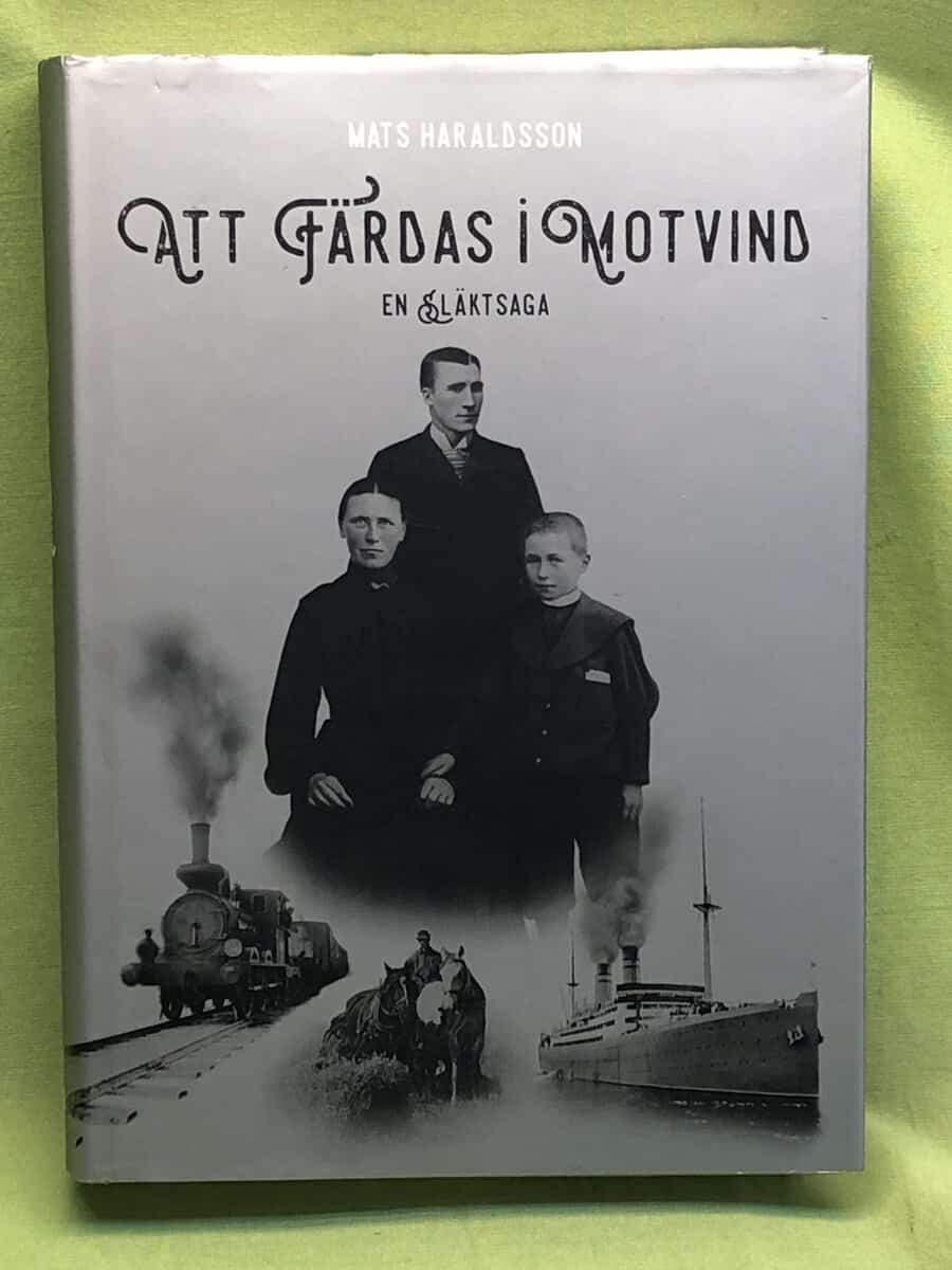 Mats Haraldsson : Att färdas i motvind