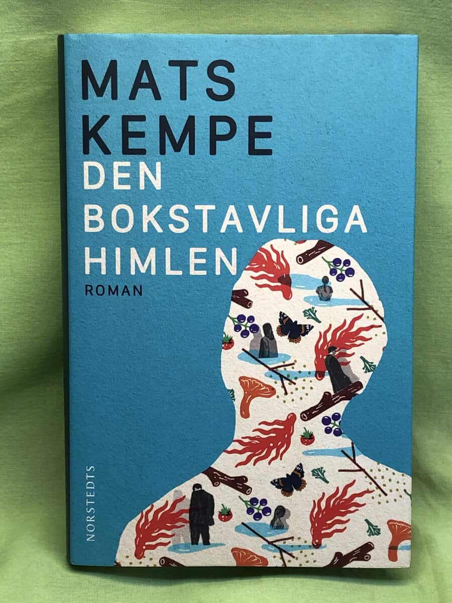 Mats Kempe : Den bokstavliga himlen