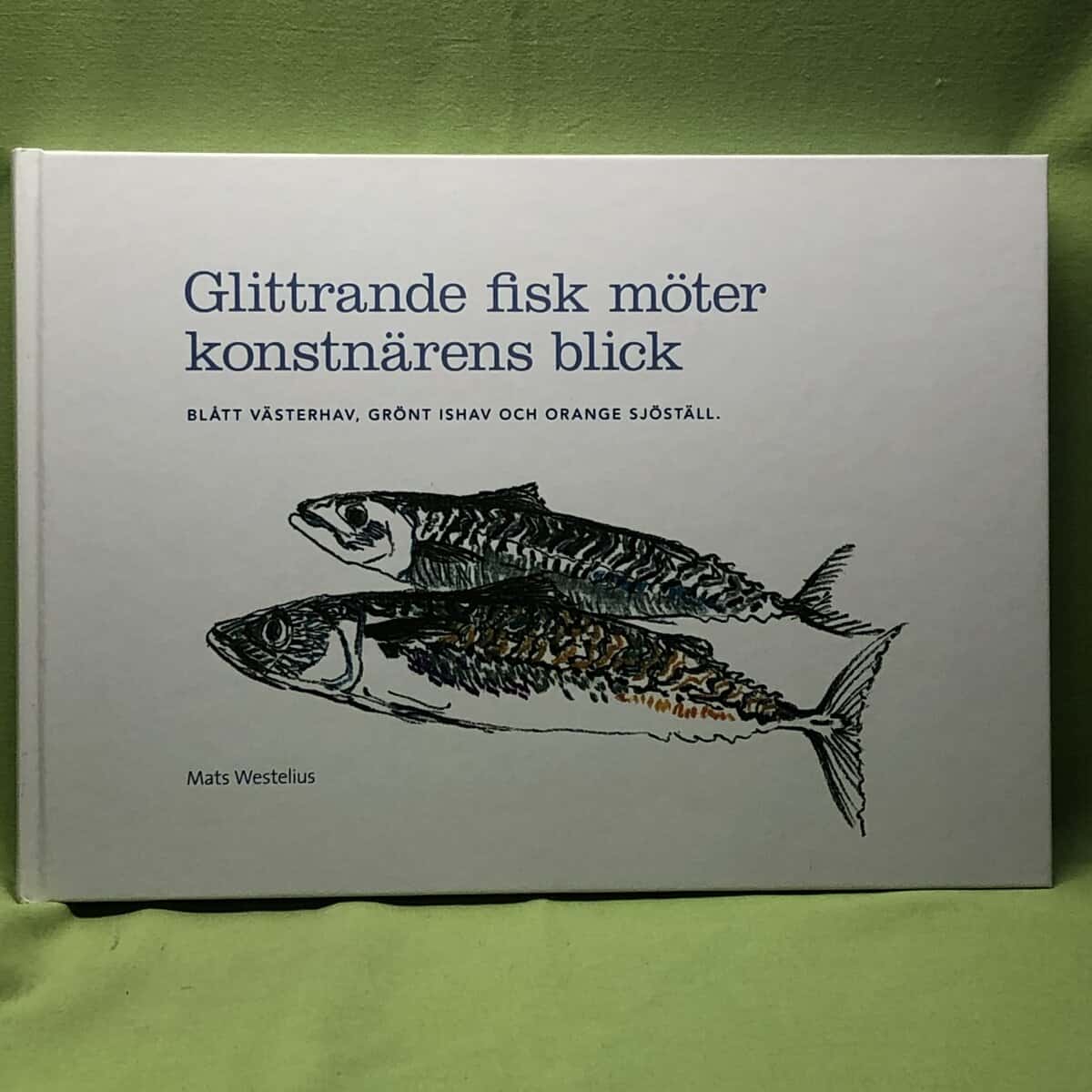 Mats Westelius : Glittrande fisk möter konstnärens blick