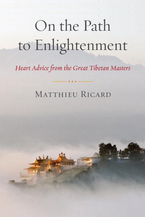 Matthieu Ricard : On the path to enlightenment