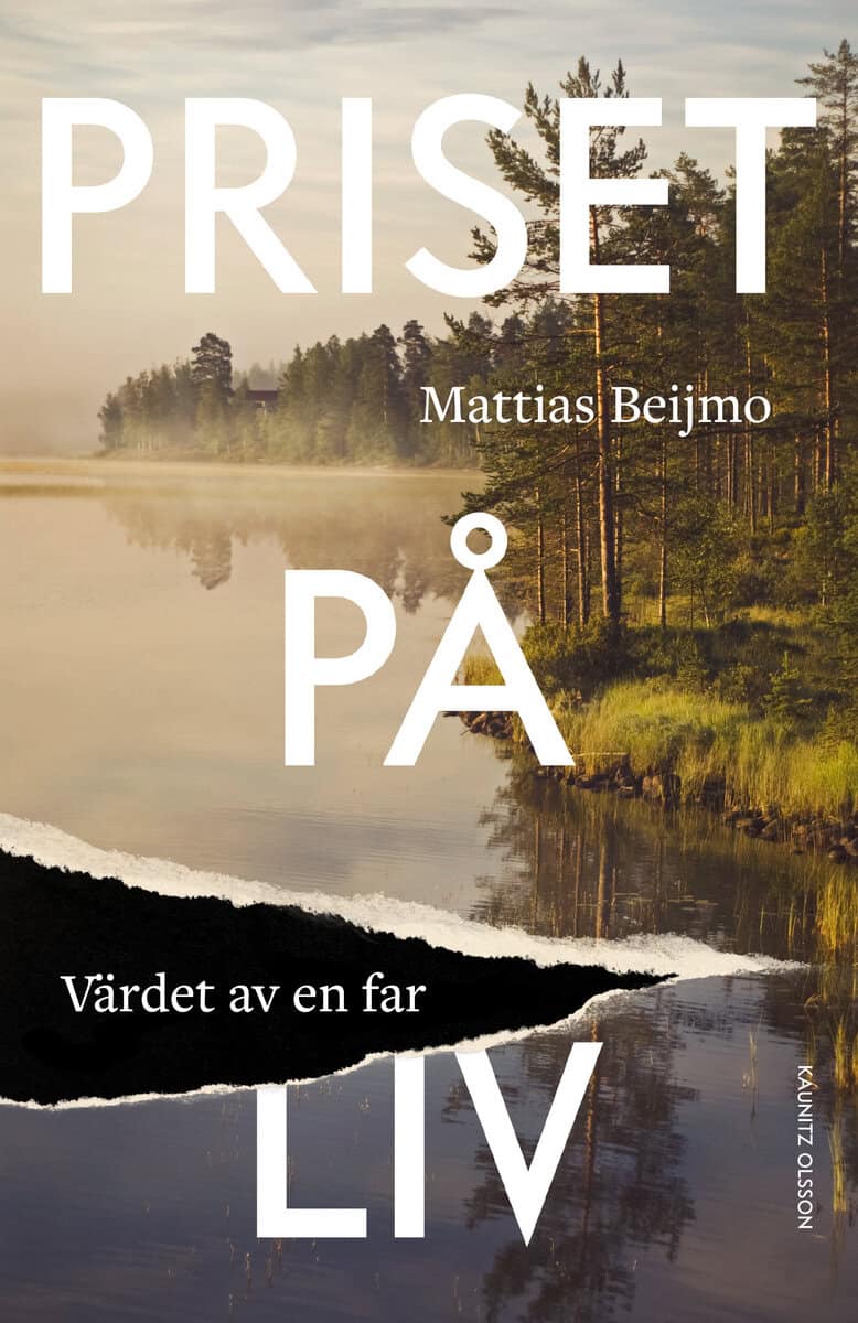 Mattias Beijmo : Priset på liv : värdet av en far