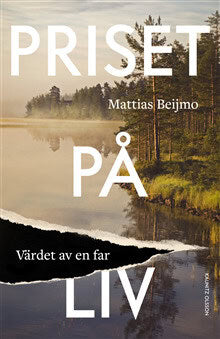 Mattias Beijmo : Priset på liv : värdet av en far