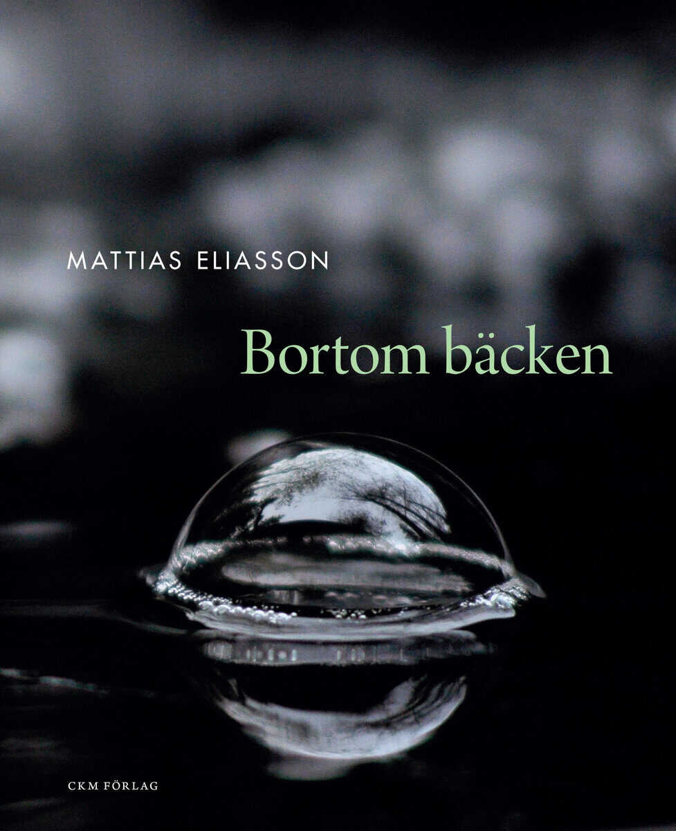 Mattias Eliasson : Bortom bäcken