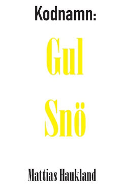 Mattias Haukland : Kodnamn: gul snö
