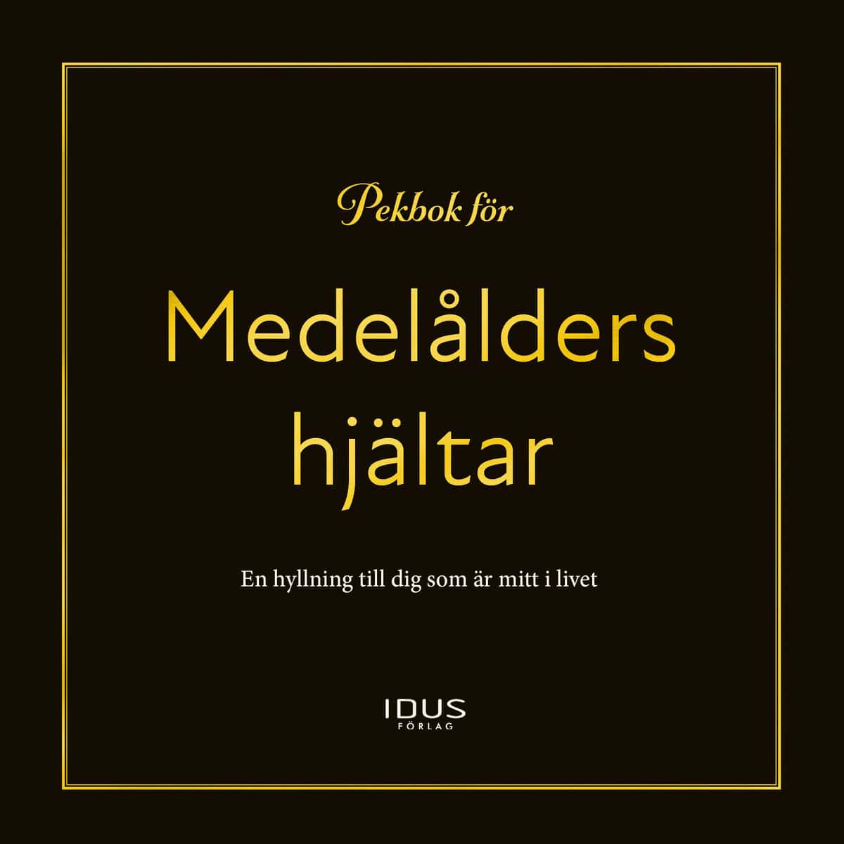 Mattias Norén : Pekbok för medelålders hjältar