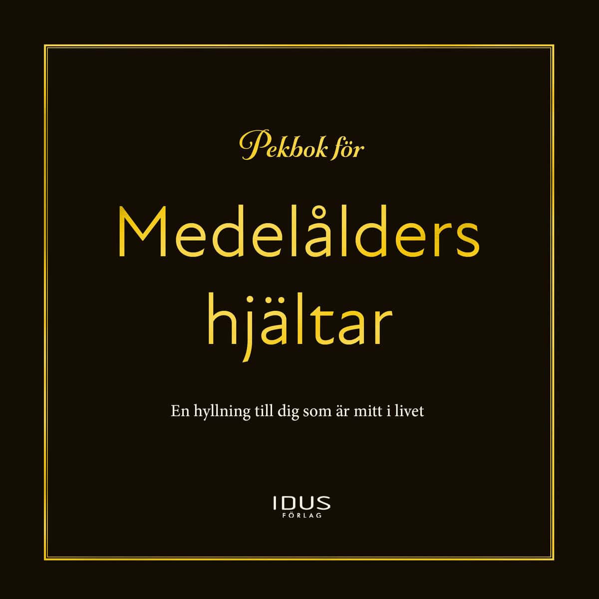 Mattias Norén : Pekbok för medelålders hjältar