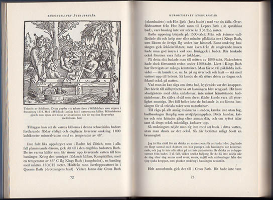 Matts Bergmark : Bad och bot