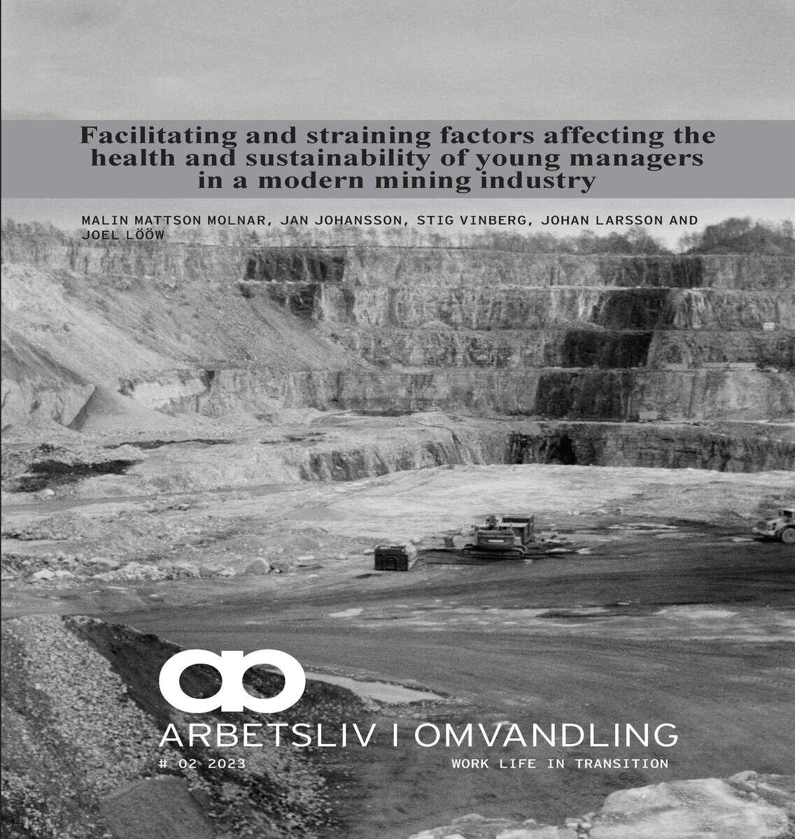 Mattson Molnar, Malin ; Johansson, Jan ; Vinberg, Stig ; Larsson, Johan ; Lööw, Joel : Facilitating and straining factors affecting the health and sustainability of young managers in a modern mining industry : self-fulfilment and development - a buffer for young managers?