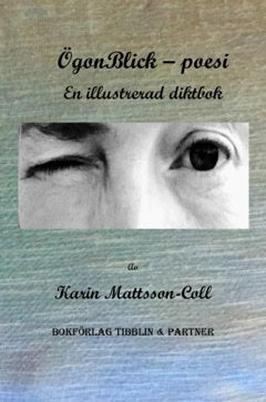 Mattsson-Colt, Karin ; Mattsson-Coll, Karin : ÖgonBlick
