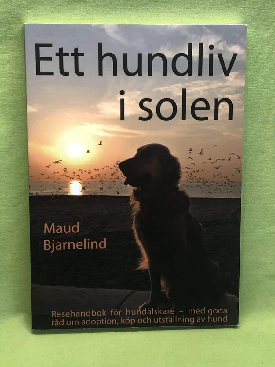 Maud Bjarnelind : Ett hundliv i solen