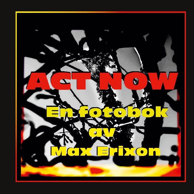 Max Erixon : Act now