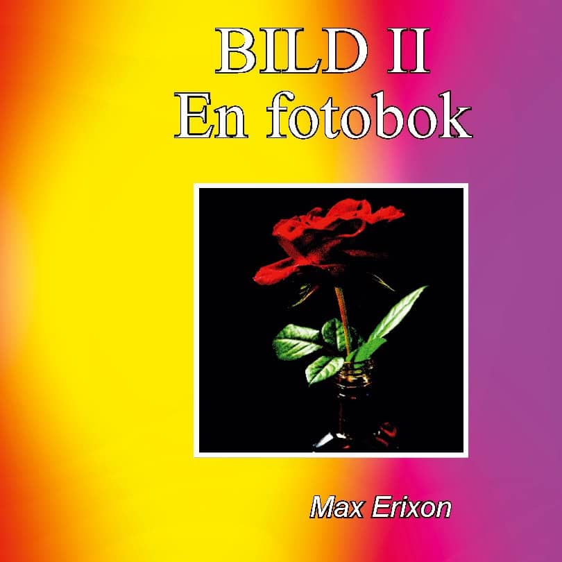 Max Erixon : Bild II