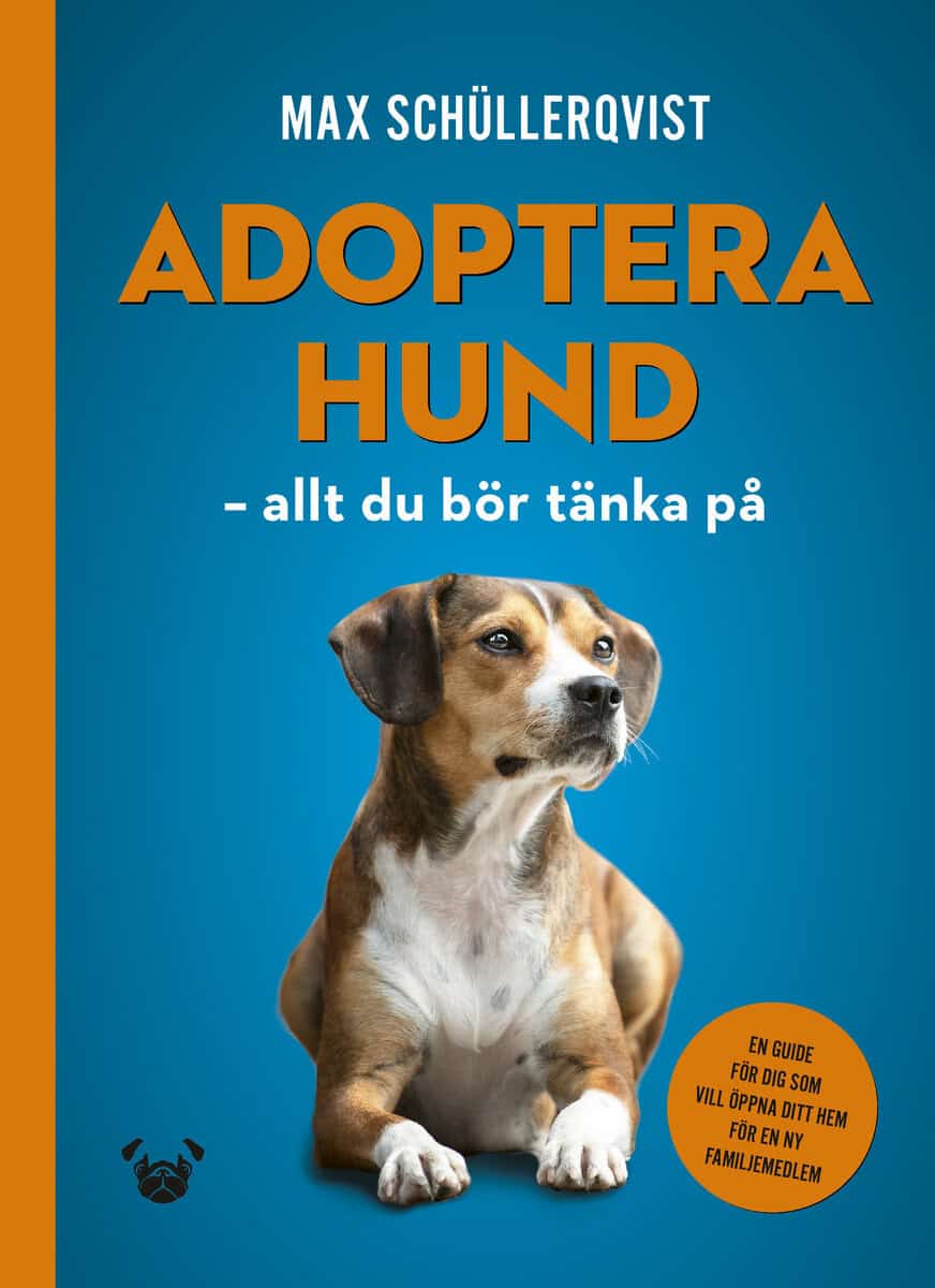 Max Schüllerqvist : Adoptera hund : allt du bör tänka på