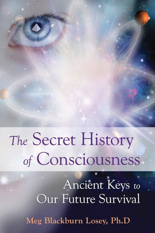 Meg Blackburn Losey : The secret history of consciousness