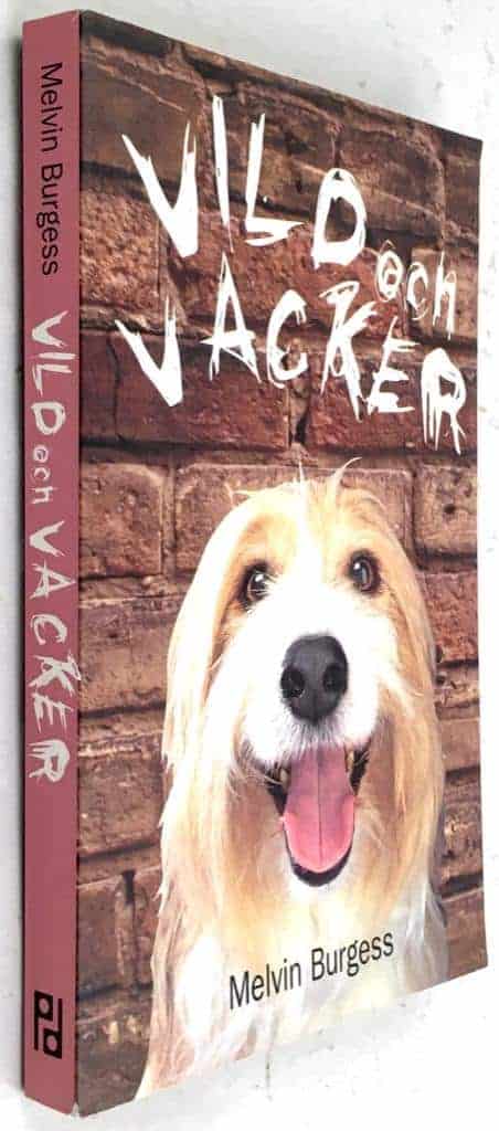 Melvin Burgess : Vild och vacker