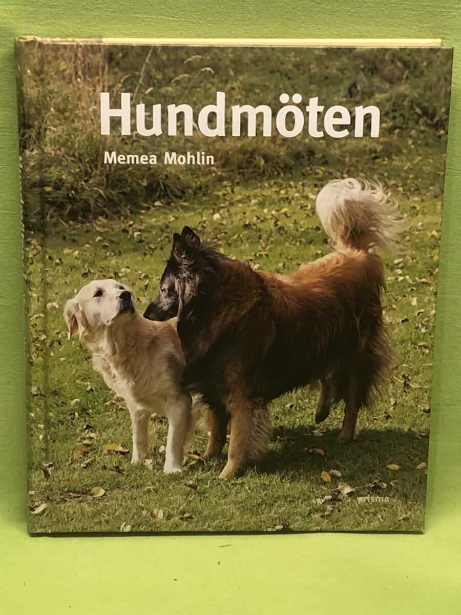 Memea Mohlin : Hundmöten