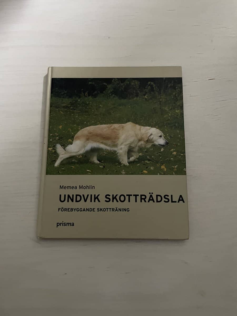 Memea Mohlin : Undvik skotträdsla